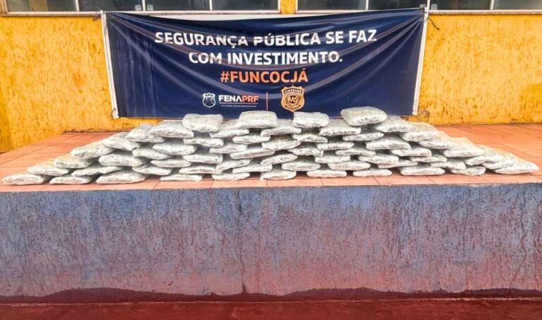 PRF apreende 33 kg de skunk em ônibus e prende boliviano na BR-262 em Corumbá