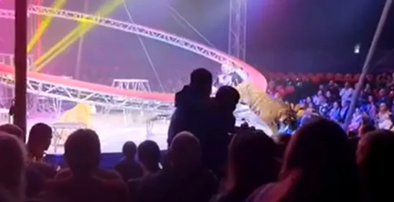 Tigre saltando em direção às cadeiras do público após grade ceder em circo, com treinadores ao fundo e espectadores em pânico.