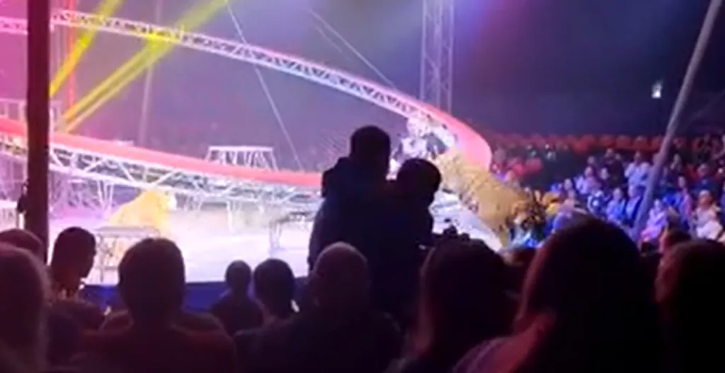 Tigre saltando em direção às cadeiras do público após grade ceder em circo, com treinadores ao fundo e espectadores em pânico.