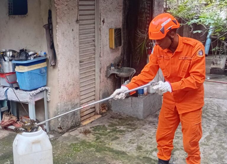 Bombeiros capturam sucuri de 3 metros dentro de cozinha em Ladário