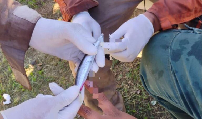 Bombeiros retiram anzol da mão de pescador em base no Pantanal