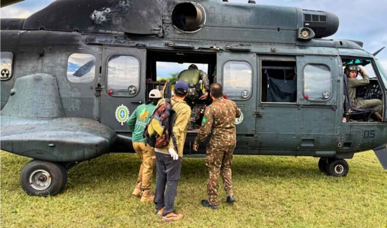 Força-tarefa captura onça-pintada e instala colar de monitoramento em Corumbá