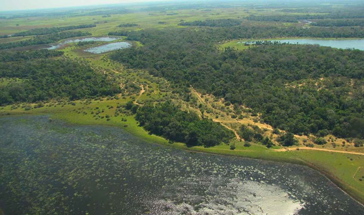 cheia1