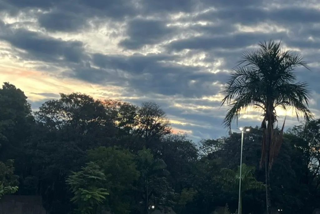 Rua alagada em Campo Grande com céu encoberto e árvore caída após chuva forte.