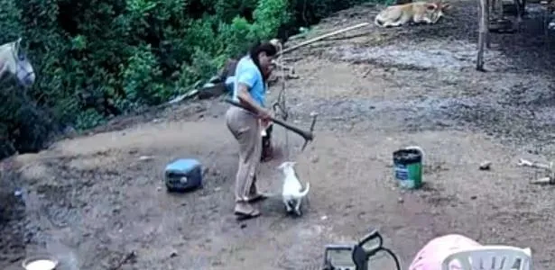 Símbolo de justiça e investigação policial sobre maus-tratos a animais em Porto Alegre.