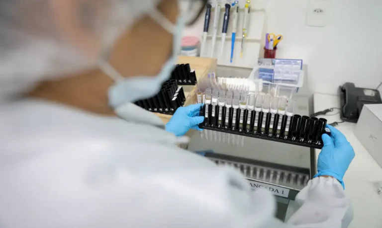 Fiocruz obtém patente para tratamento contra malária resistente