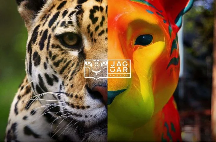 Mato Grosso do Sul anuncia parceria com Jaguar Parade e reforça turismo regenerativo