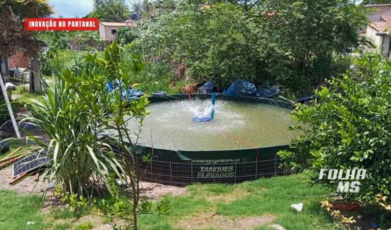 Projeto instala tanque sustentável de iscas e muda rotina de mulheres no Pantanal de MS