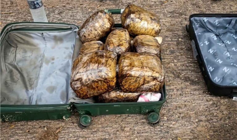 PM apreende 30 kg de skunk com três bolivianas em ônibus no Lampião Aceso