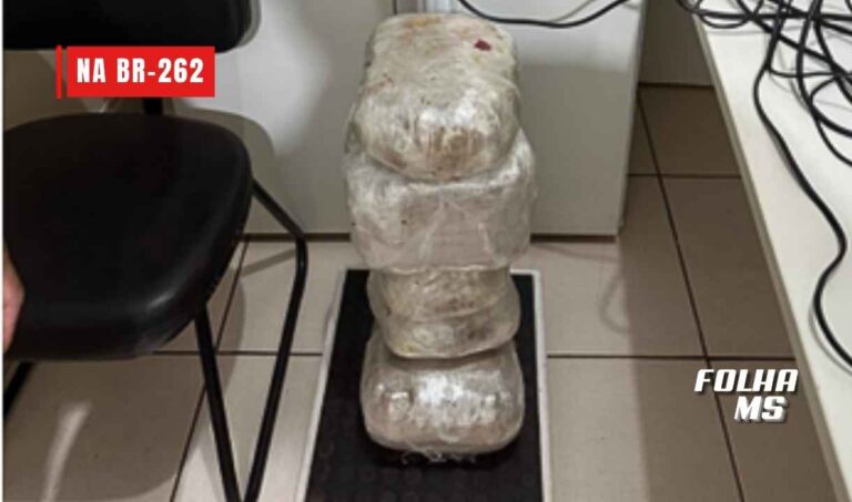 Passageiro é preso com 42 quilos de maconha escondidos em sacos de alimentos em ônibus na BR-262