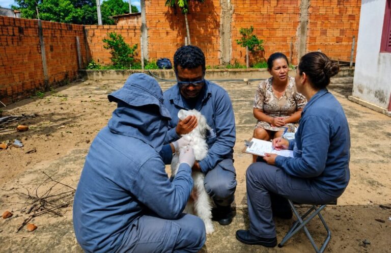 Campo Grande amplia monitoramento da leishmaniose visceral canina