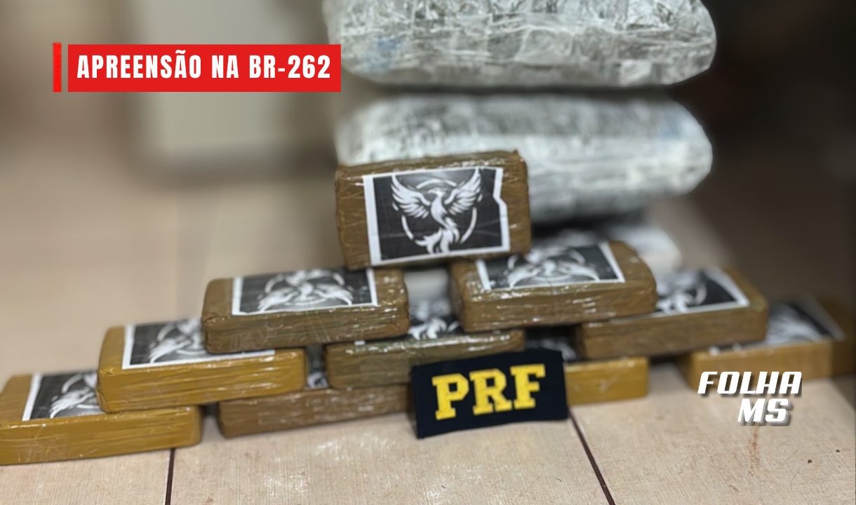 apreensao na br 262