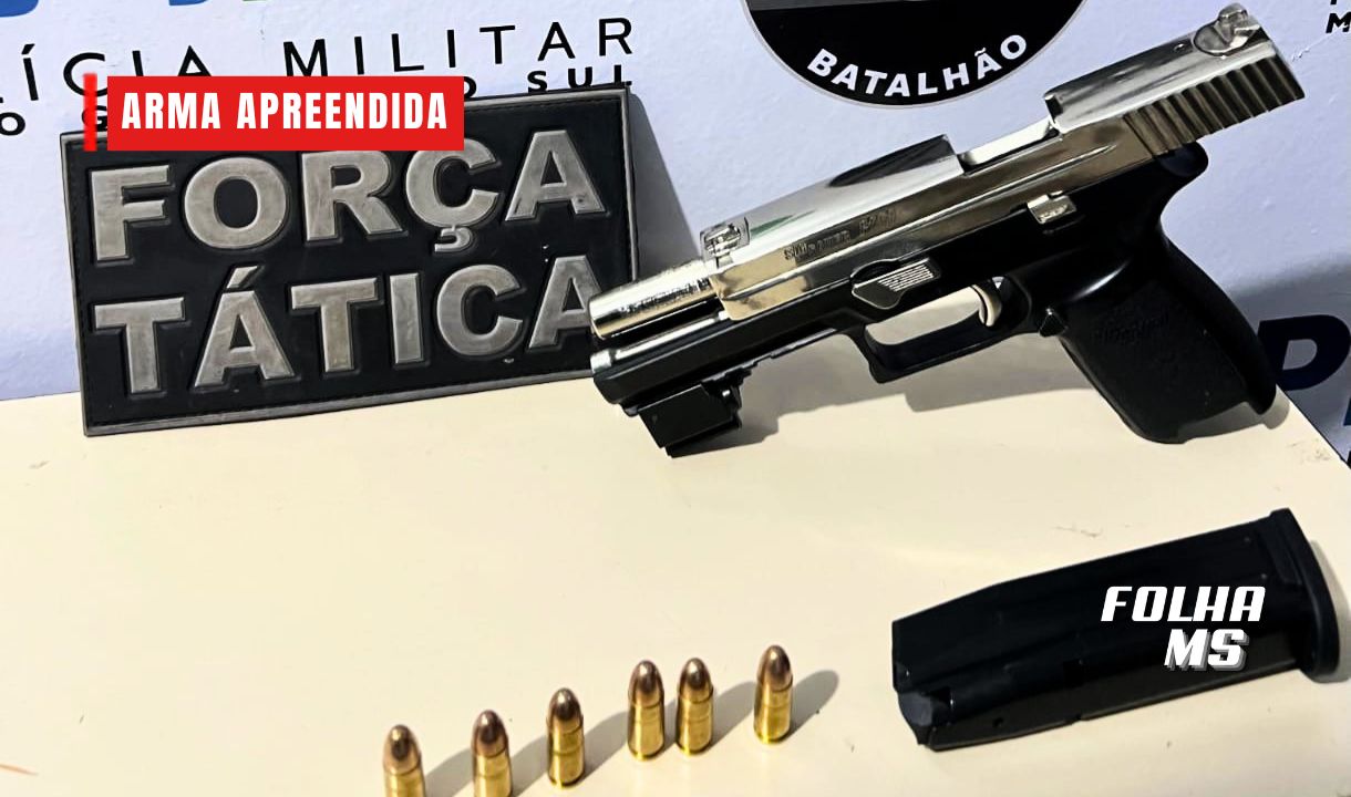 arma apreendida