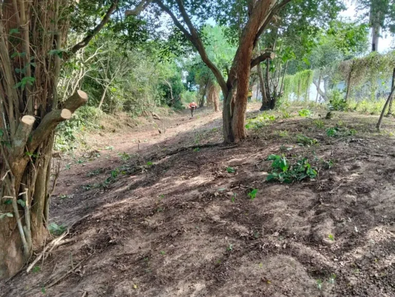 Brigada Alto Pantanal reduz risco de incêndios no Pantanal com 33,28 km de aceiros