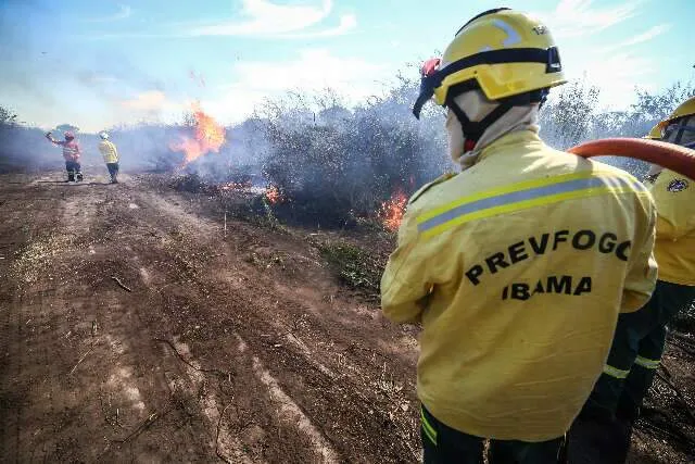 Brigadistas indígenas e comunitários realizando queima prescrita controlada na APA Baía Negra, Pantanal