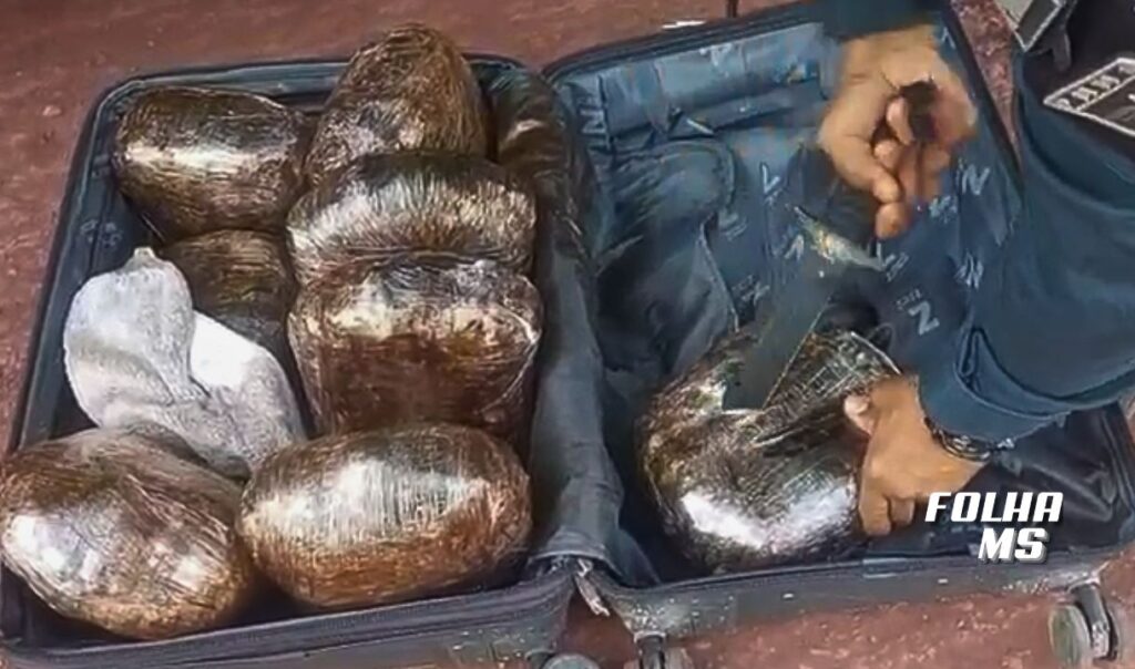 Mulher é presa com 8,7 quilos de skank em ônibus na BR-262 em Corumbá 2 droga bagagem