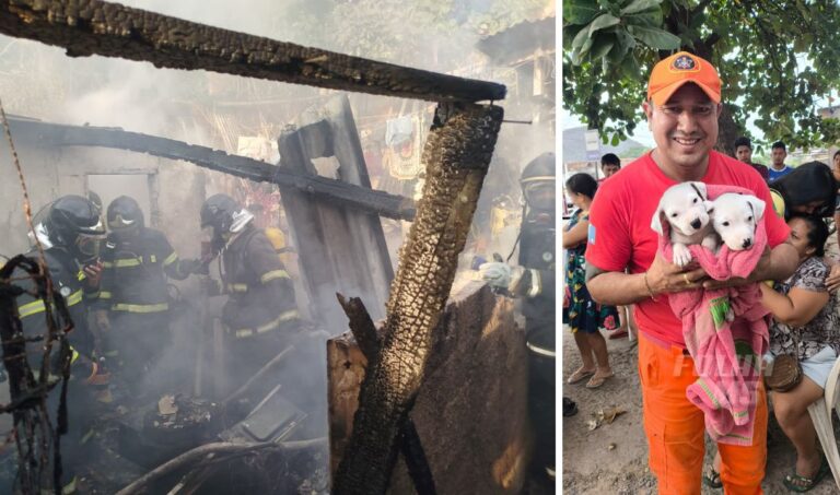 Incêndio destrói parte de residência e bombeiros salvam filhotes de cães em Corumbá