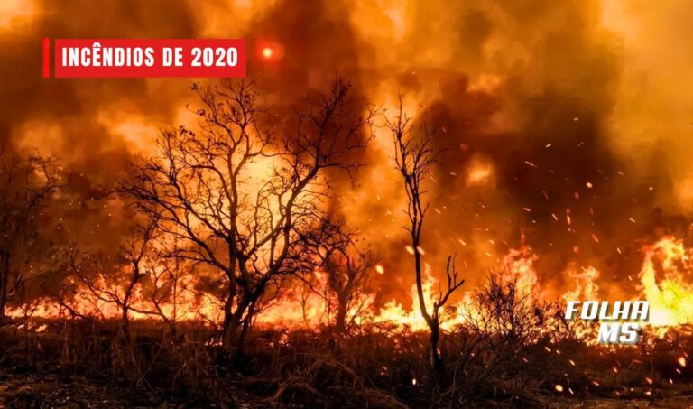 Condenado a 4 anos pecuarista que queimou 12,8 mil hectares do Pantanal em Corumbá