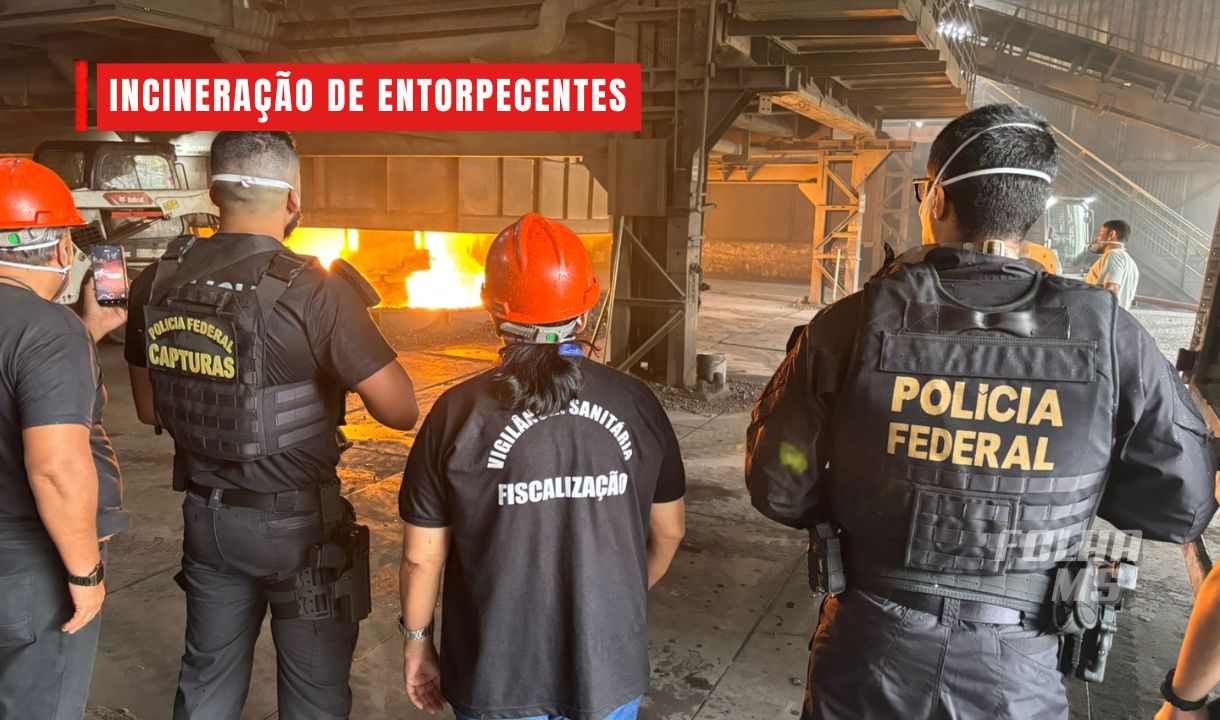 incineracao entorpecentes