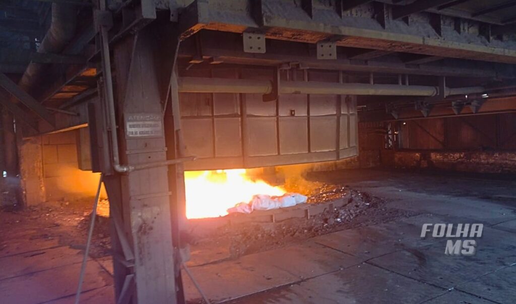 incineracao entorpecentes2