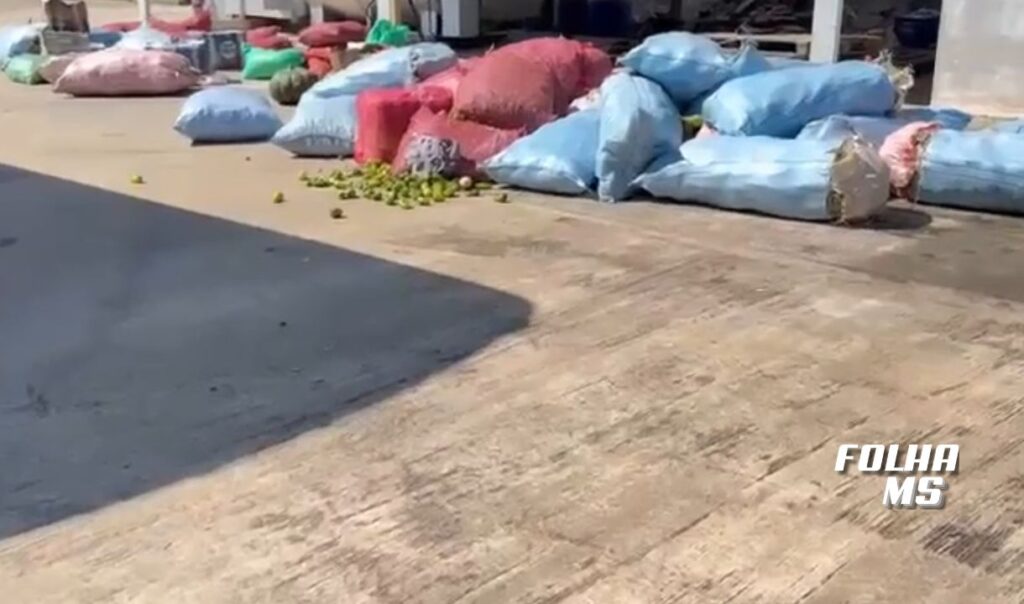 Operação apreende 95 kg de drogas e 4 toneladas de mercadorias ilegais em ônibus interceptados em Corumbá 4 mercadoria apreendida