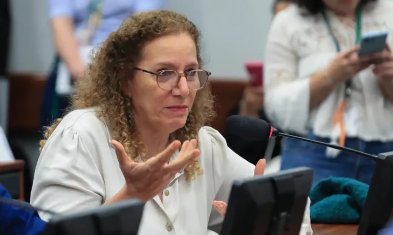 Em Washington parlamentares governistas expõem contraponto às ações da direita