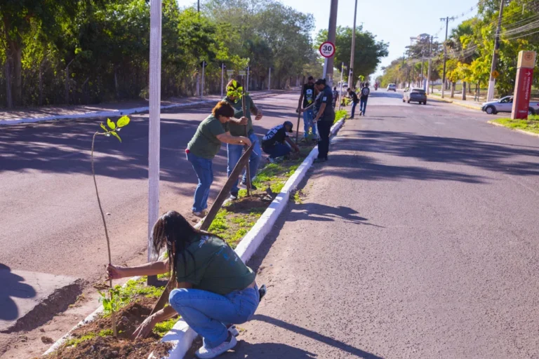 Corumbá investe em arborização para enfrentar mudanças climáticas