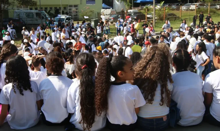 Educação política e direitos da cidadania é incluída no currículo escolar