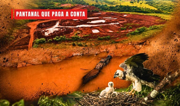Poeira, degradação e risco à fauna marcam avanço da mineração no Pantanal