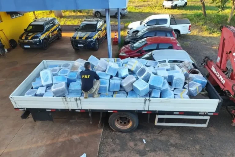 Policiais da PRF inspecionam caminhão com sacos de sementes de girassol e fardos de maconha apreendidos na BR-158