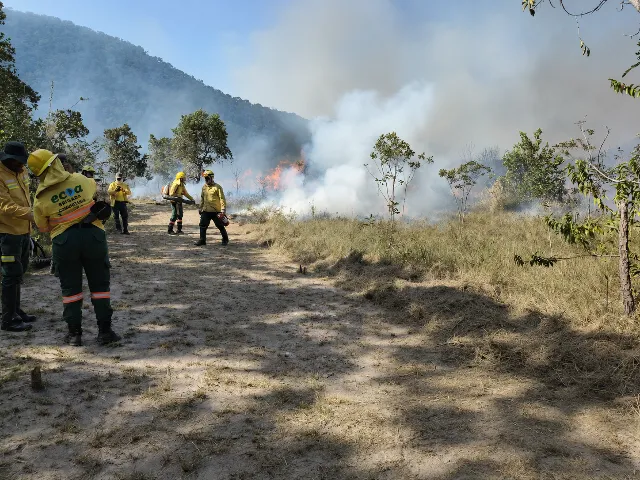 Brigadistas operando queima prescrita controlada na Serra do Amolar com chamas baixas e aceiros
