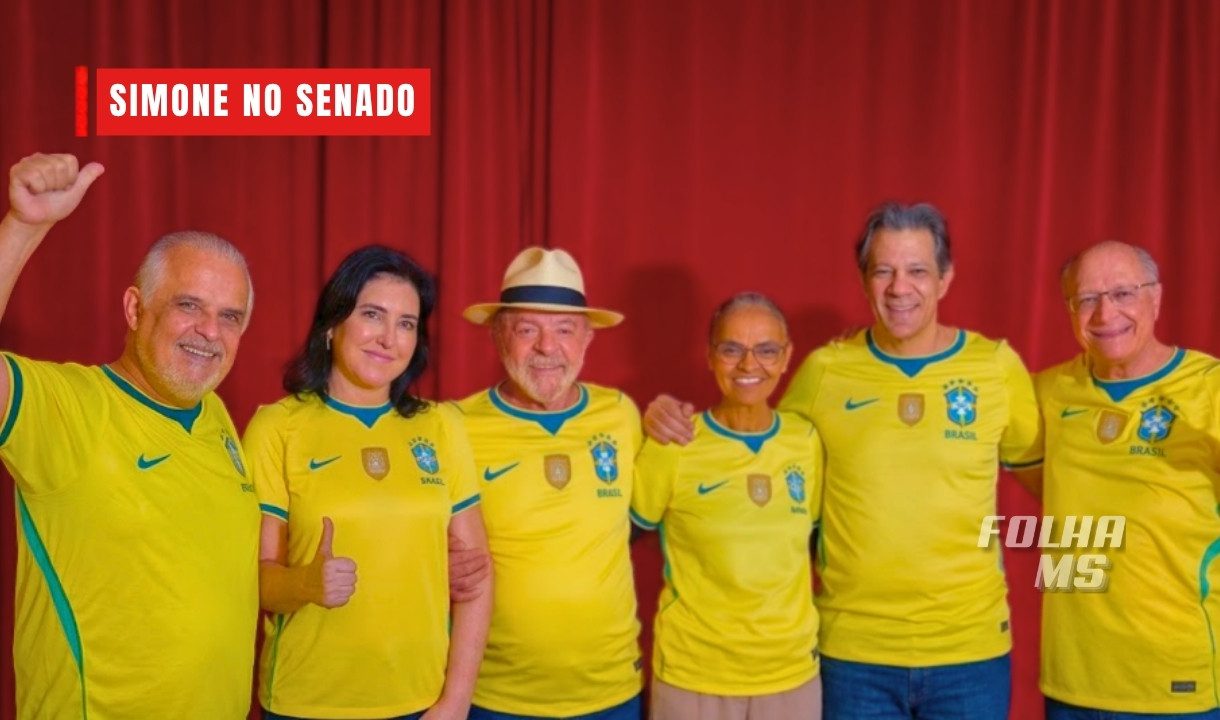 simone no senado