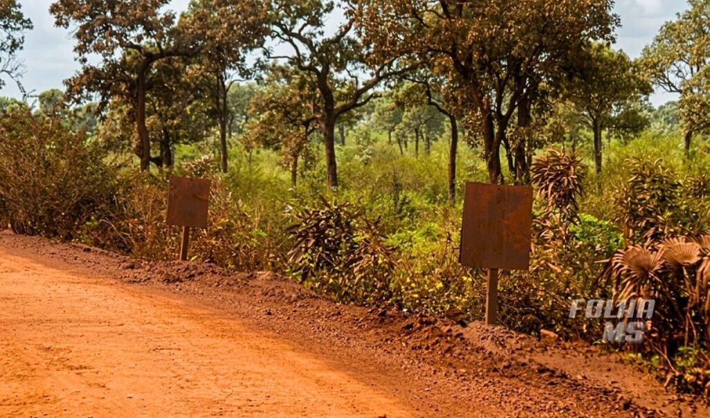 Moradores denunciam riscos em estrada tomada pelo transporte de minério em Corumbá 6 transporte minerio6