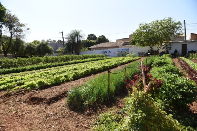 FAC e Emha realizam intercâmbio socioambiental para idosos