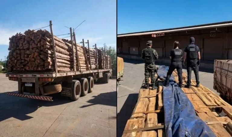 Polícia Federal confirma ausência de cocaína em 260 toneladas de madeira apreendidas em Corumbá