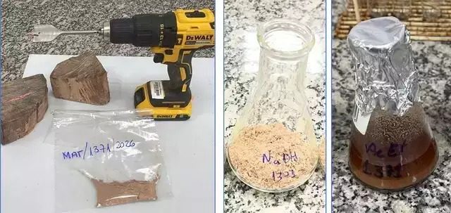 Polícia Federal investiga origem de denúncia sobre suposta cocaína em carga de madeira apreendida em MS e MT