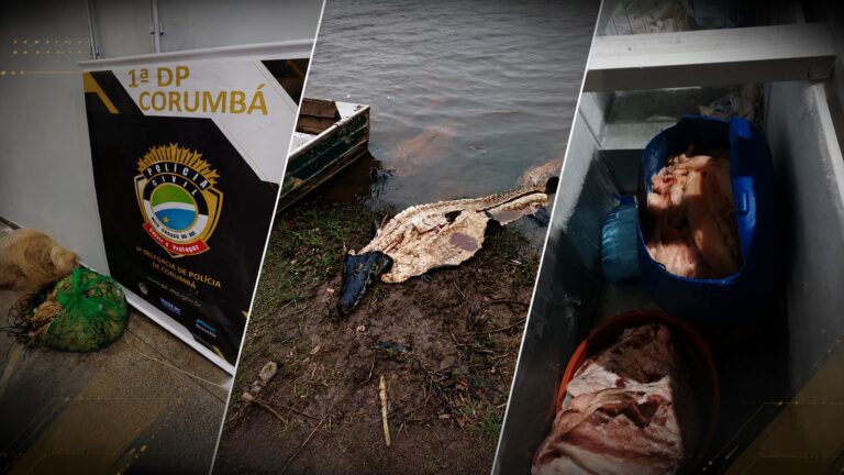 Flagrante na zona rural de Corumbá termina com apreensão de arma e carcaças de jacaré