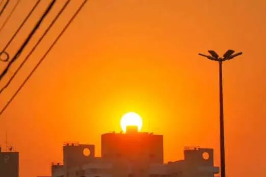 Vegetação seca do Pantanal sob calor intenso em Mato Grosso do Sul