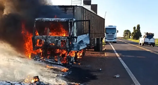 Carreta em chamas na MS-395 com bois fugindo pela pista e policiais controlando o trânsito