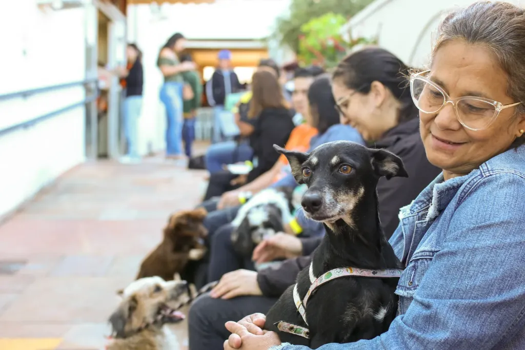 Consultório veterinário móvel atendendo cão e gato em frente ao Ginásio Guanandizão com equipe realizando procedimentos