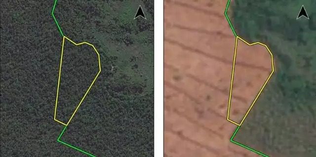 MPMS firma acordo para recuperar mais de 50 hectares desmatados em fazenda de Corumbá