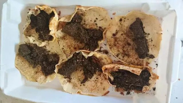 Mulher é presa ao tentar levar maconha escondida em panquecas para presídio de Três Lagoas