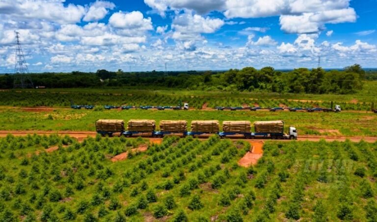 Senatran autoriza circulação experimental de 41 hexatrens da Suzano em rodovias de MS