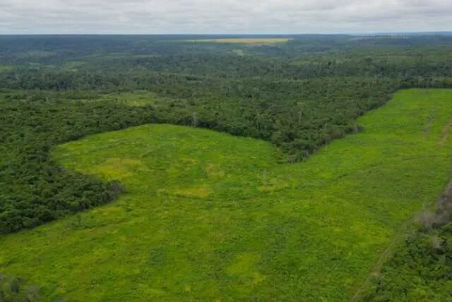 Mapa de Mato Grosso do Sul com imagens de satélite e interface de monitoramento de cobertura vegetal