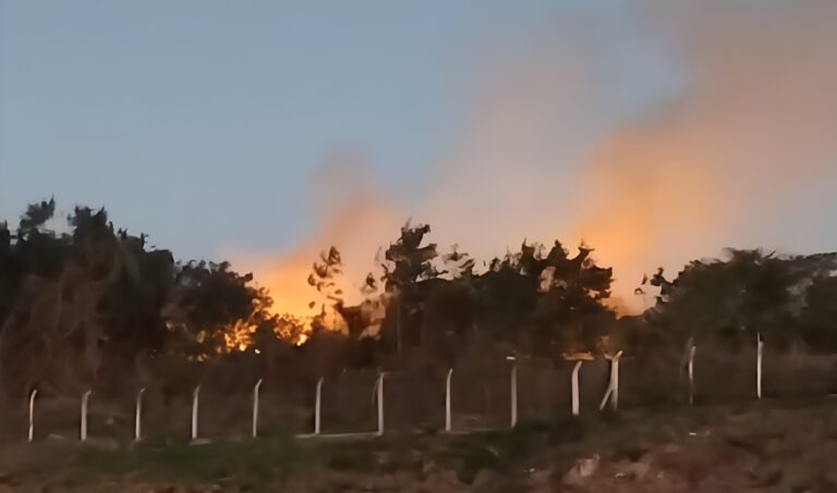 Corumbá registra quatro incêndios em vegetação no mesmo dia e mobiliza bombeiros em diferentes regiões