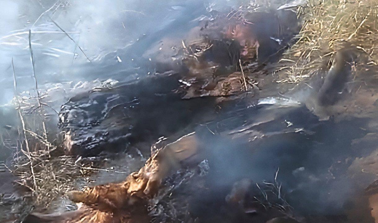 incendios