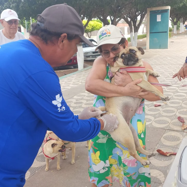 Vacinação antirrábica de cães e gatos inicia em Corumbá com atendimento domiciliar