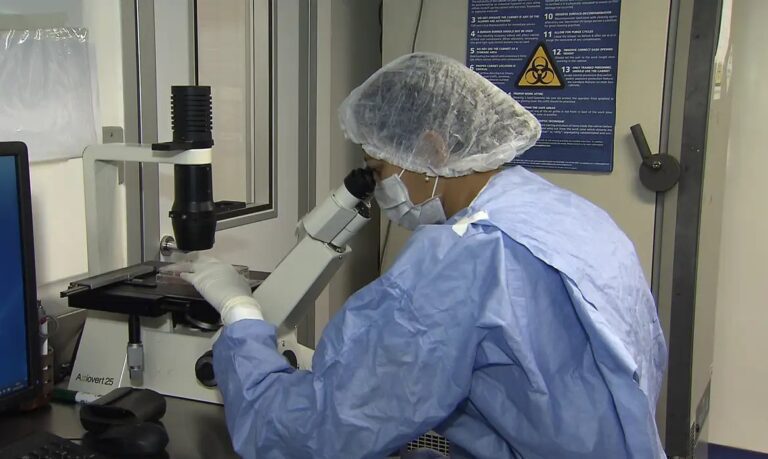Remissão da infecção pelo HIV é registrada em dois pacientes após transplante