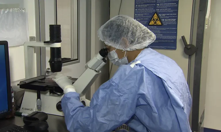 Remissão da infecção pelo HIV é registrada em dois pacientes após transplante
