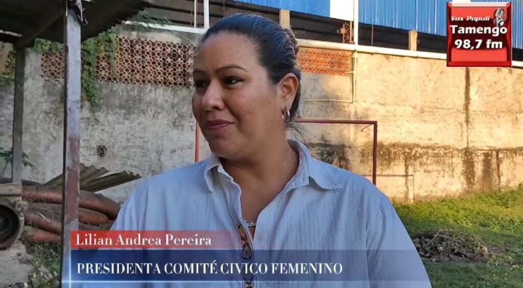 presidente comirte civico